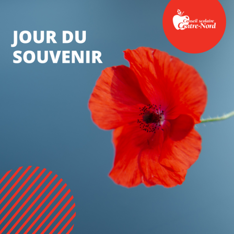 2025 11 11 Jour du souvenir picture lightbox 1762536963499103546690e2e03a42f3