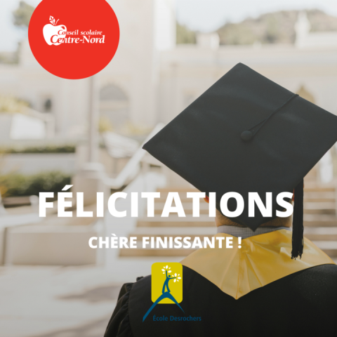 Finissante DES