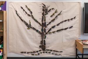 ouverture officielle lt web 04