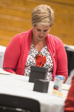 Centre Nord School Board 222